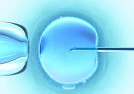 La infertilidad, un «reto sanitario» mundial, según la OMS