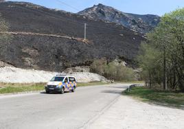 Monte quemado en Caso tras el incendio.