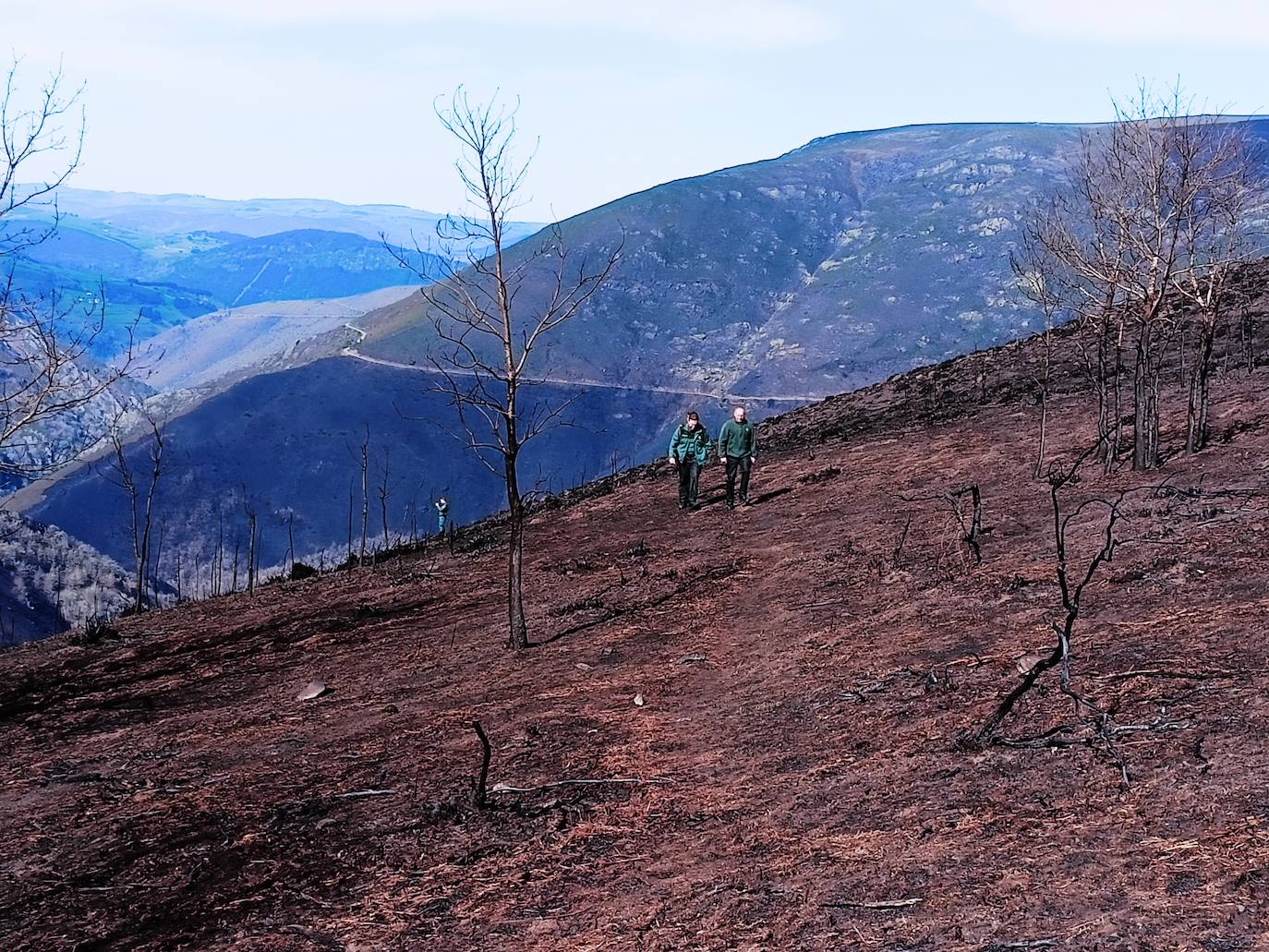 Incendios que apagaron el verde del paraíso