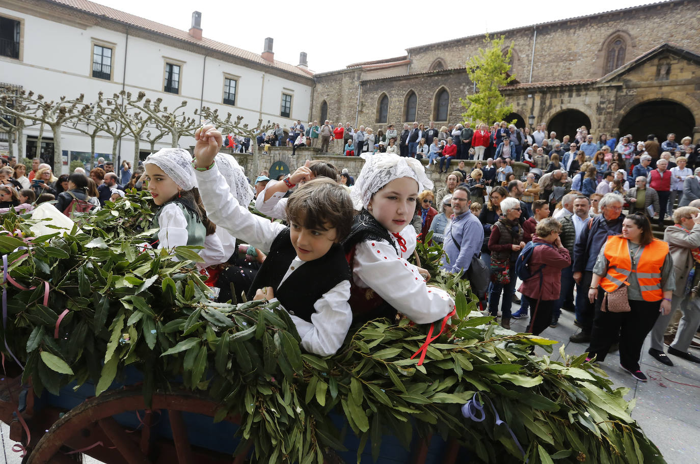 El Bollo conquista Avilés