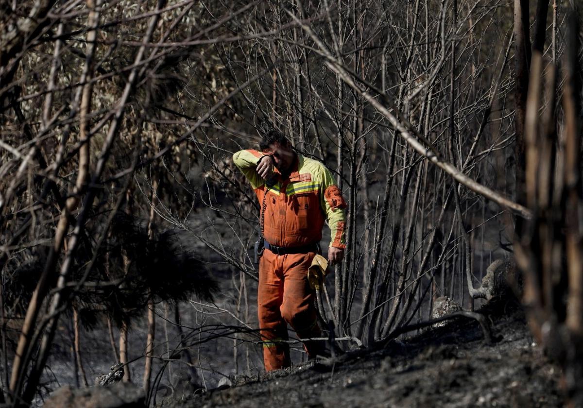 Un bombero vigila las zonas aún humeantes y con riesgo de incendio en los bosques de Pereda.