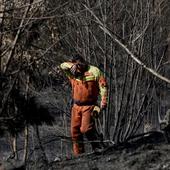 La reforestación de montes y el apoyo a los ayuntamientos, prioridad de las ayudas tras los incendios