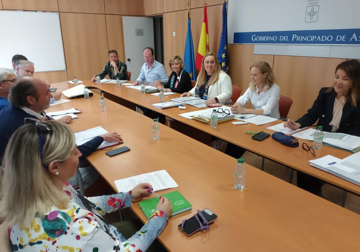 La consejera, de blanco en el centro de la imagen, ayer, en su reunión con los representantes de la concertada.