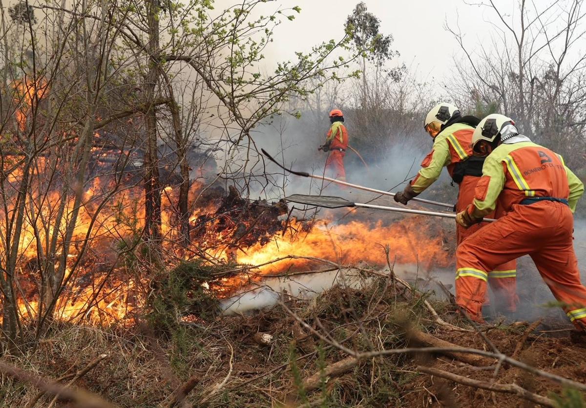 El Principado pagará hasta 1.200 euros por hectárea quemada y el 100% de la reforestación