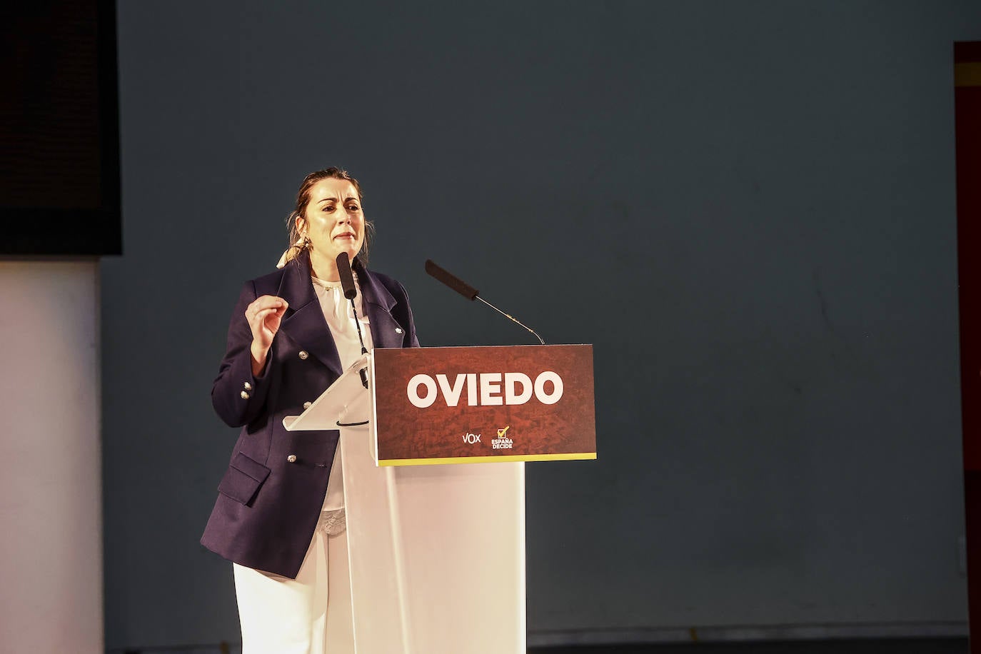 Vox reúne a sus simpatizantes en un mitin en Oviedo