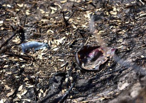 Imagen secundaria 1 - El fuego descubre un &#039;cementerio&#039; en el Naranco