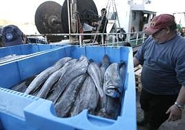 Imagen de archivo de una descarga de merluza en el puerto pesquero de Avilés.