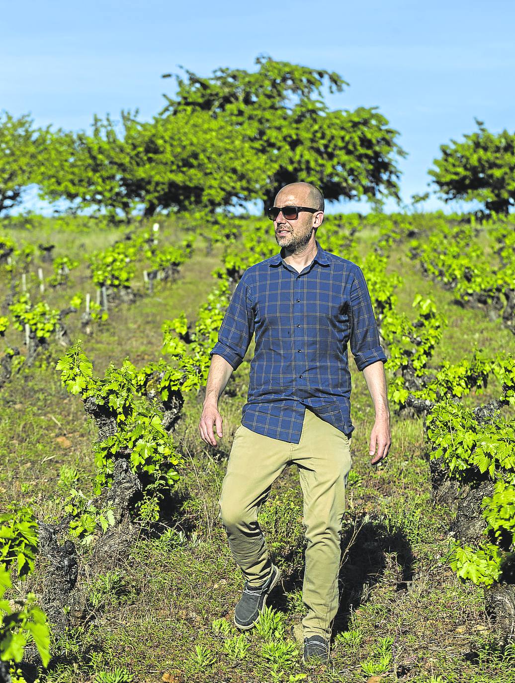 El asturiano Rafael Somonte, en uno de los viñedos de la bodega Dominio de Tares que dirige.