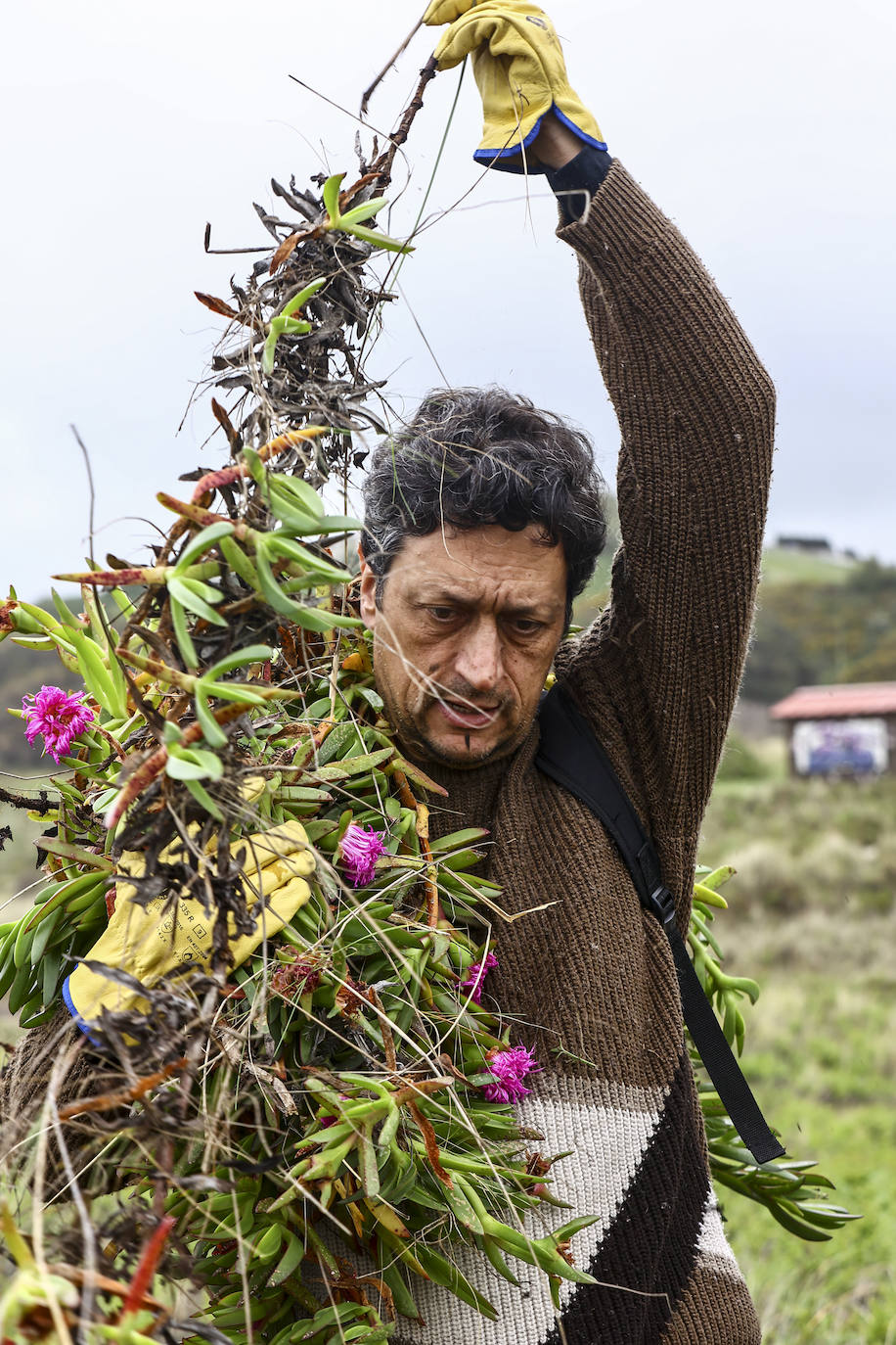 Limpieza masiva de la playa de Xagó