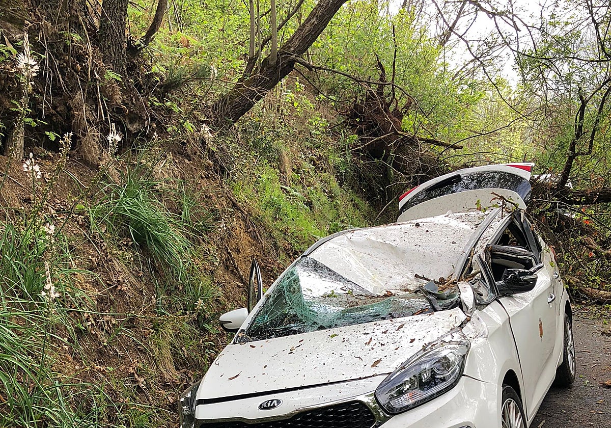 El coche terminó aplastado por el árbol.