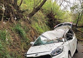 El coche terminó aplastado por el árbol.