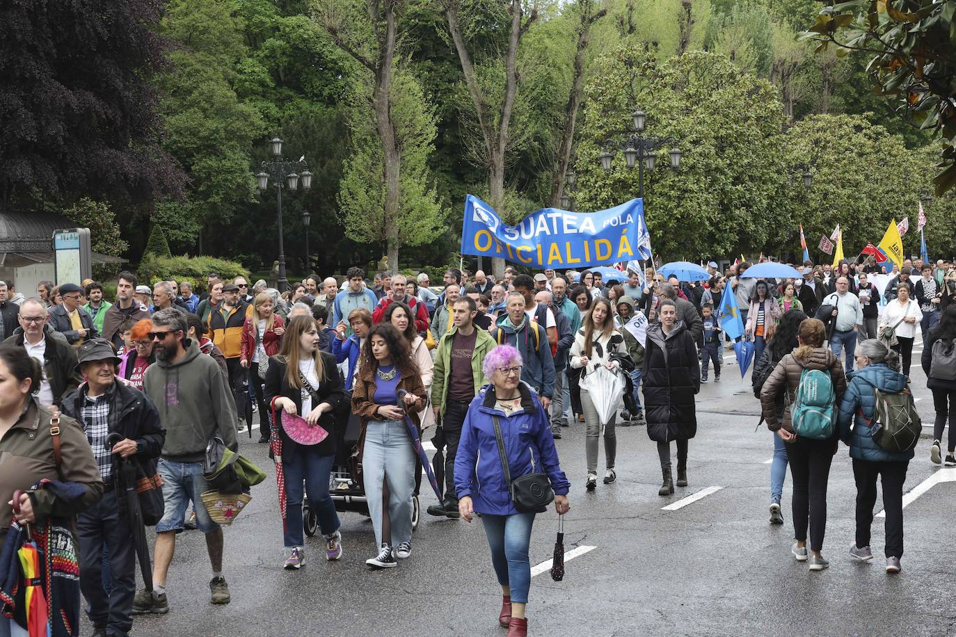 Multitudinaria manifestación en Oviedo por la &#039;oficialidá&#039; del asturiano