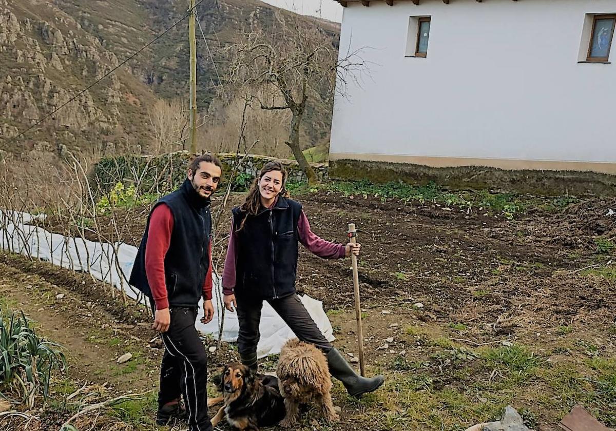 Almudena Galatas y Daniel Rodríguez trabajan una de las fincas cedidas por los vecinos de Larna.