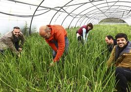 Socios de Rural Eco Lab, en la finca de Llanera donde cultivan hortalizas, frutas y verduras de forma ecológica.