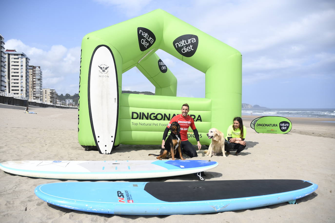 Así ha sido el campeonato europeo de surf para perros en Salinas