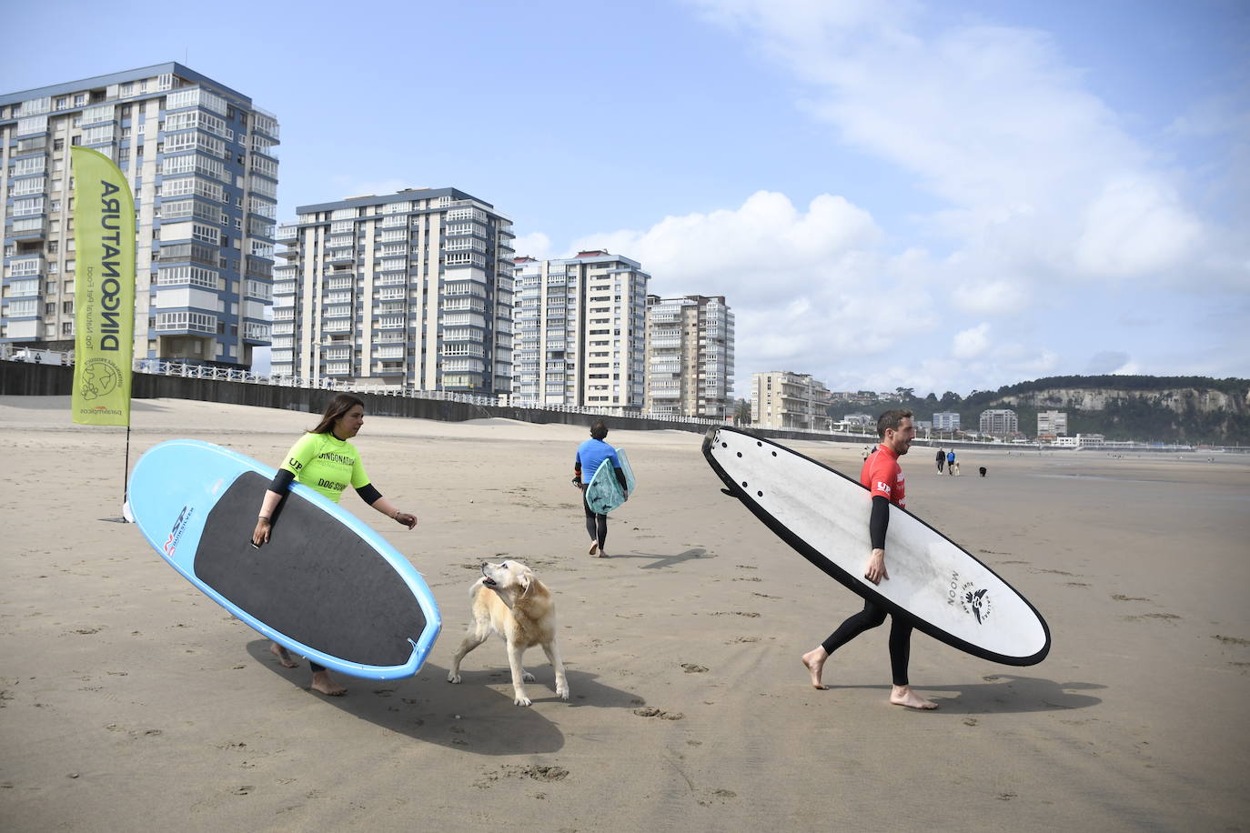 Así ha sido el campeonato europeo de surf para perros en Salinas