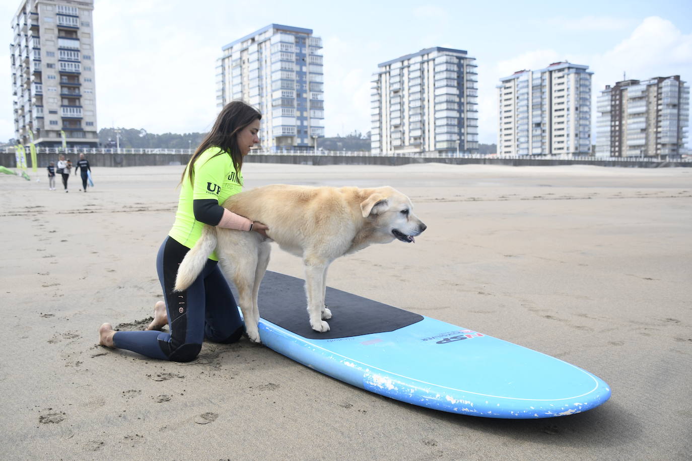 Así ha sido el campeonato europeo de surf para perros en Salinas