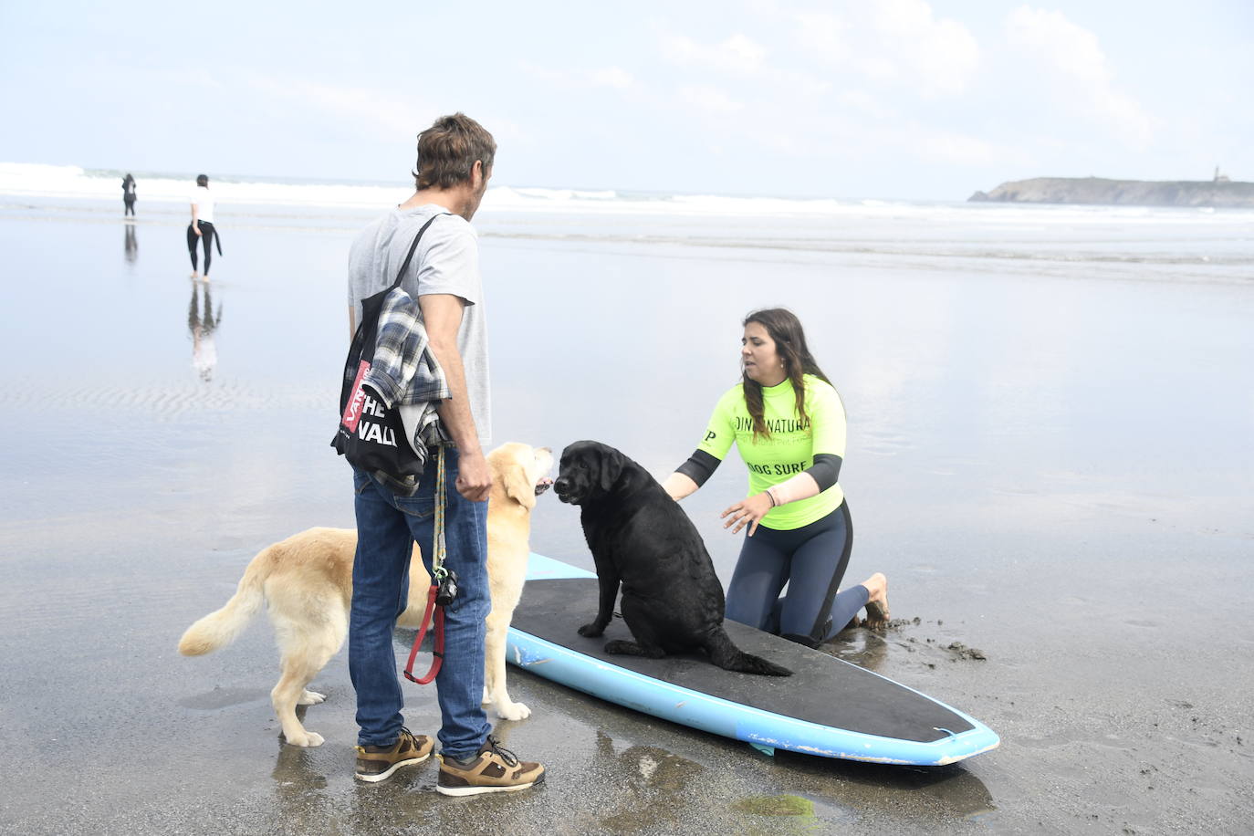 Así ha sido el campeonato europeo de surf para perros en Salinas