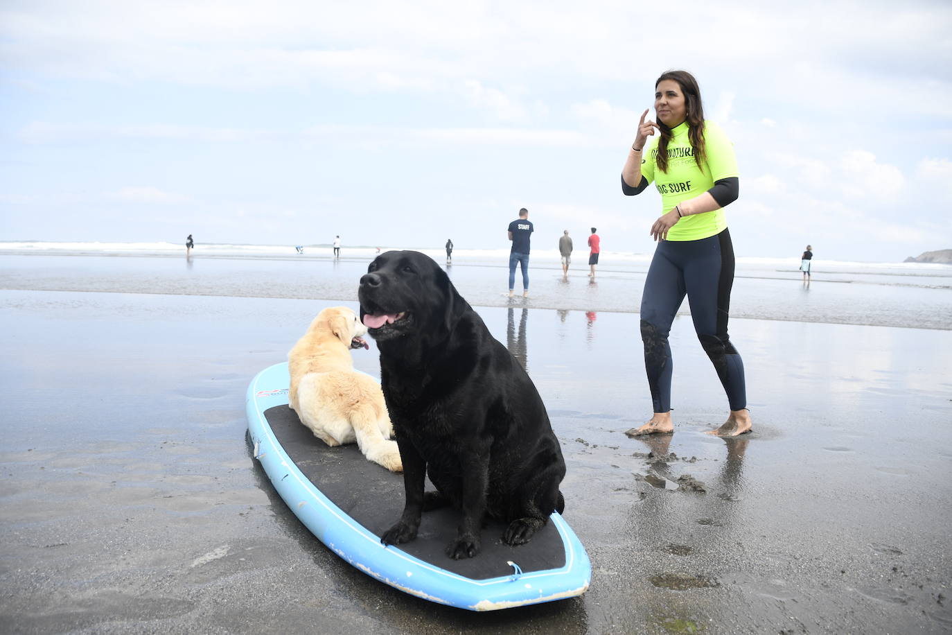 Así ha sido el campeonato europeo de surf para perros en Salinas