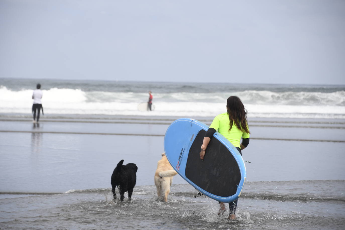 Así ha sido el campeonato europeo de surf para perros en Salinas