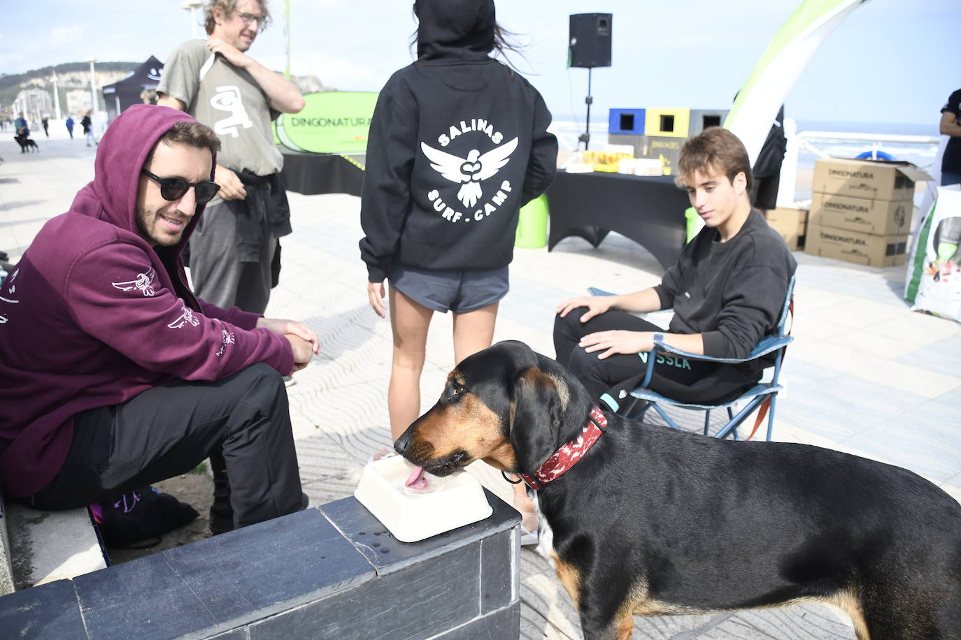 Así ha sido el campeonato europeo de surf para perros en Salinas