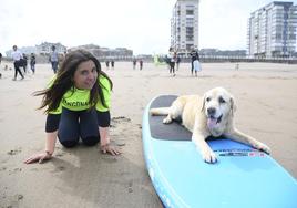 Así ha sido el campeonato europeo de surf para perros en Salinas