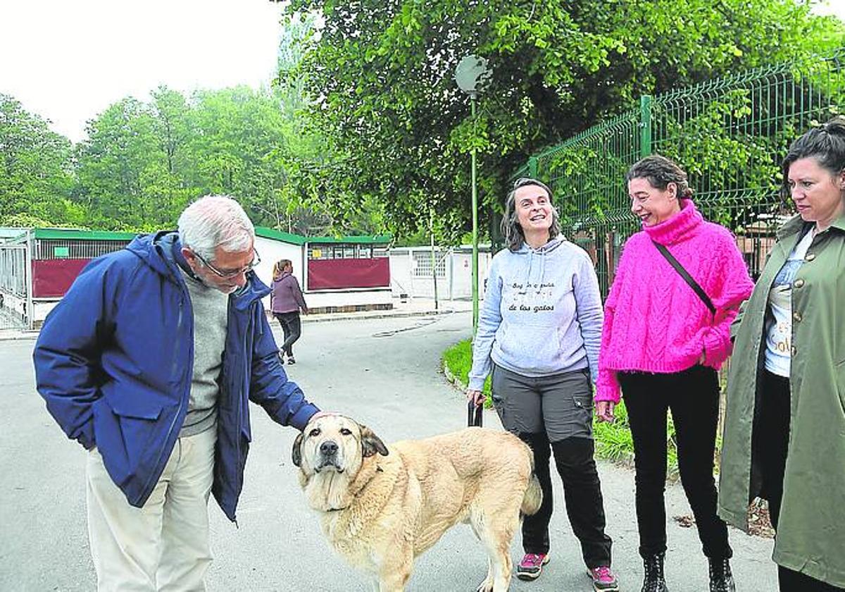 Gaspar Llamazares acaricia a un perro en el albergue de animales.