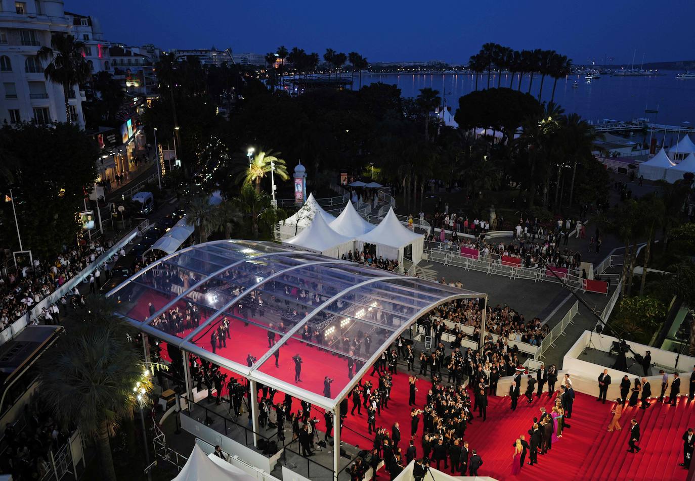 La alfombra roja del Festival de Cannes.