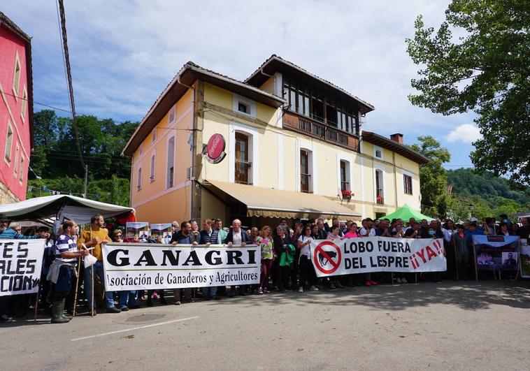 Más de doscientas personas se concentraron el pasado mediodía en la Feriona de Corao para expresar su malestar por la situación del sector ganadero.