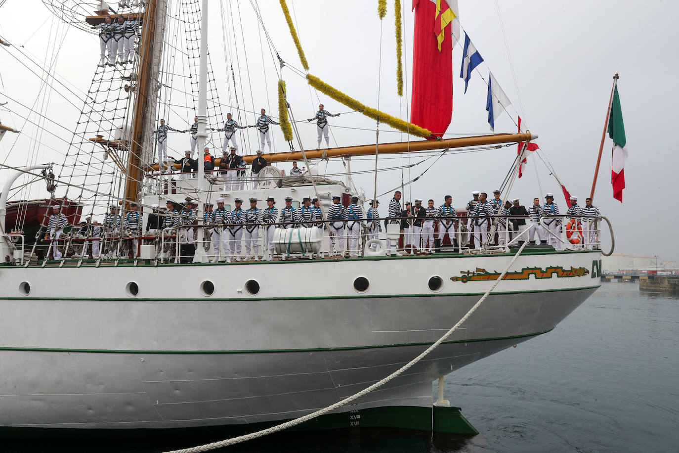 El &#039;caballero de los mares&#039; despliega su esplendor en Gijón