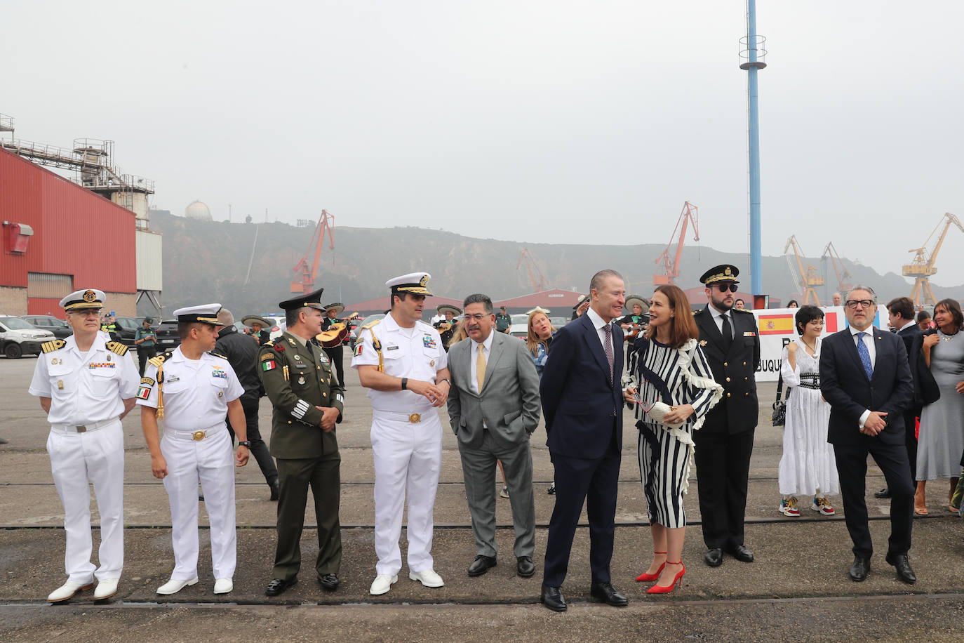 El &#039;caballero de los mares&#039; despliega su esplendor en Gijón