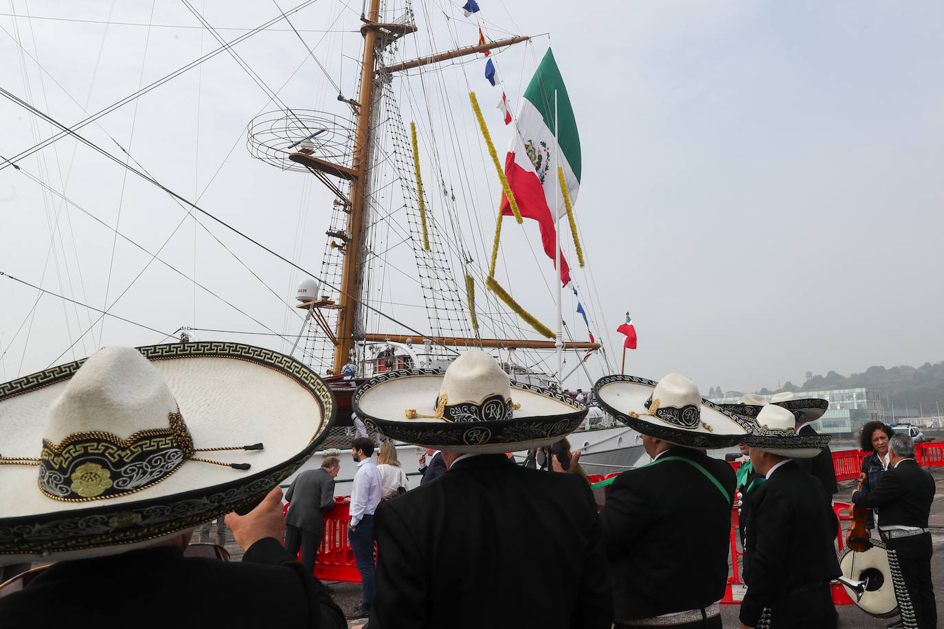 El &#039;caballero de los mares&#039; despliega su esplendor en Gijón