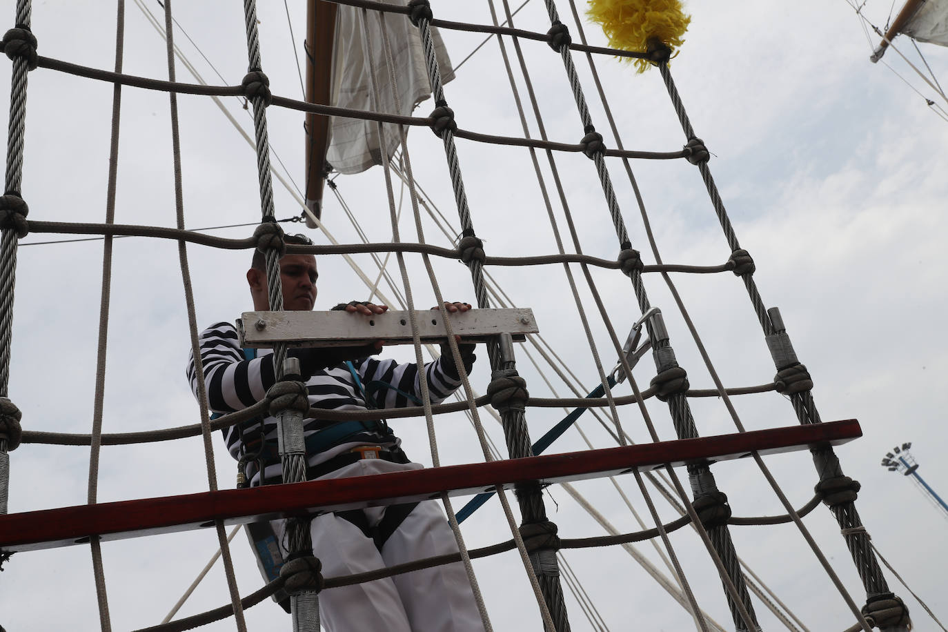 El &#039;caballero de los mares&#039; despliega su esplendor en Gijón