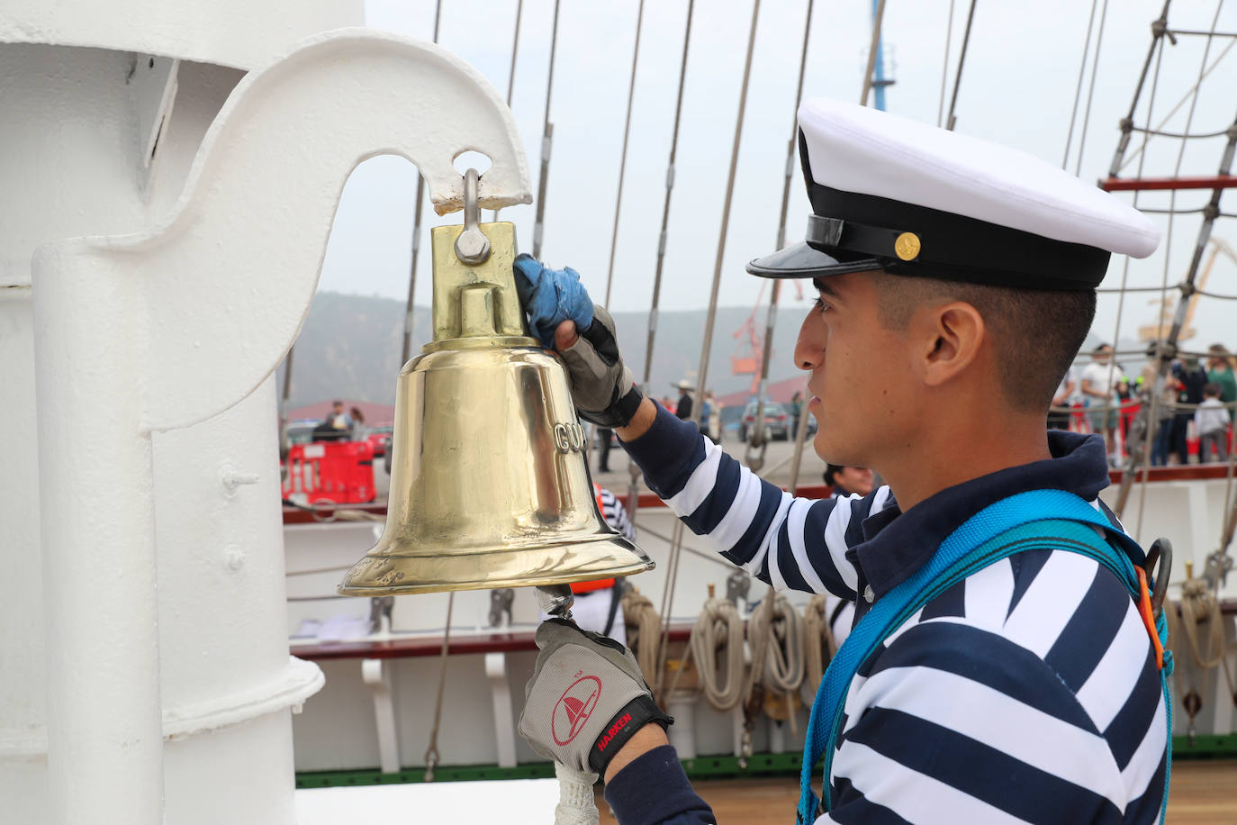 El &#039;caballero de los mares&#039; despliega su esplendor en Gijón