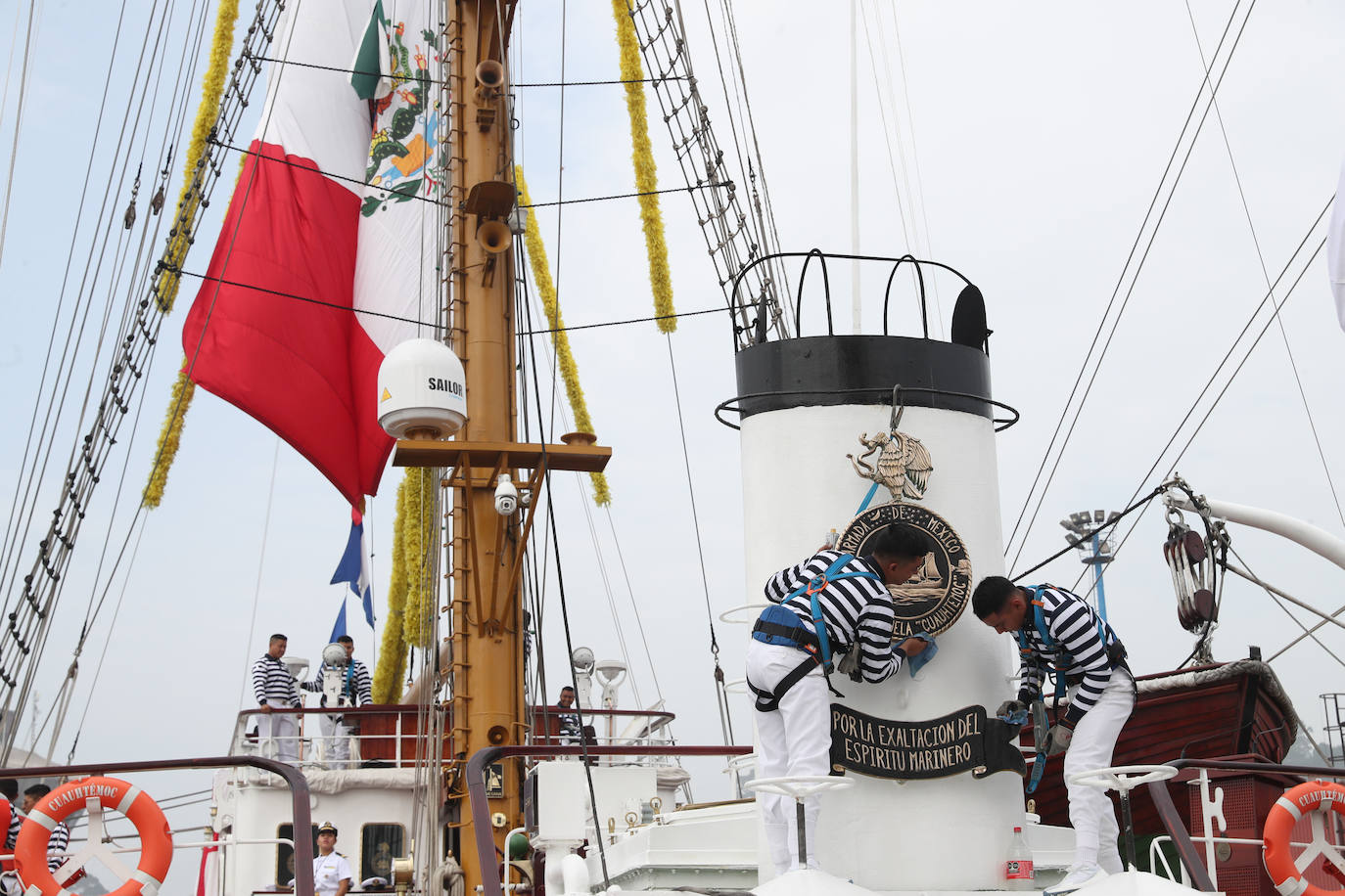 El &#039;caballero de los mares&#039; despliega su esplendor en Gijón