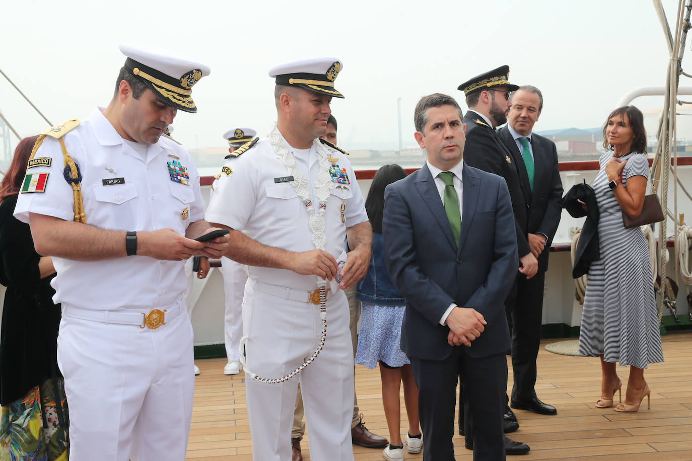 El &#039;caballero de los mares&#039; despliega su esplendor en Gijón