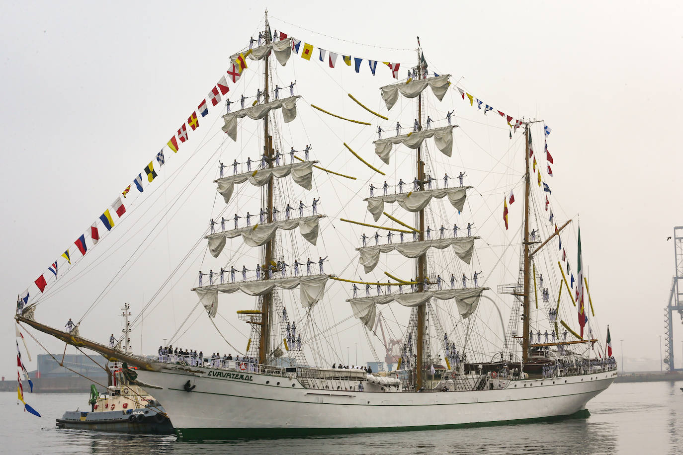 El &#039;caballero de los mares&#039; despliega su esplendor en Gijón