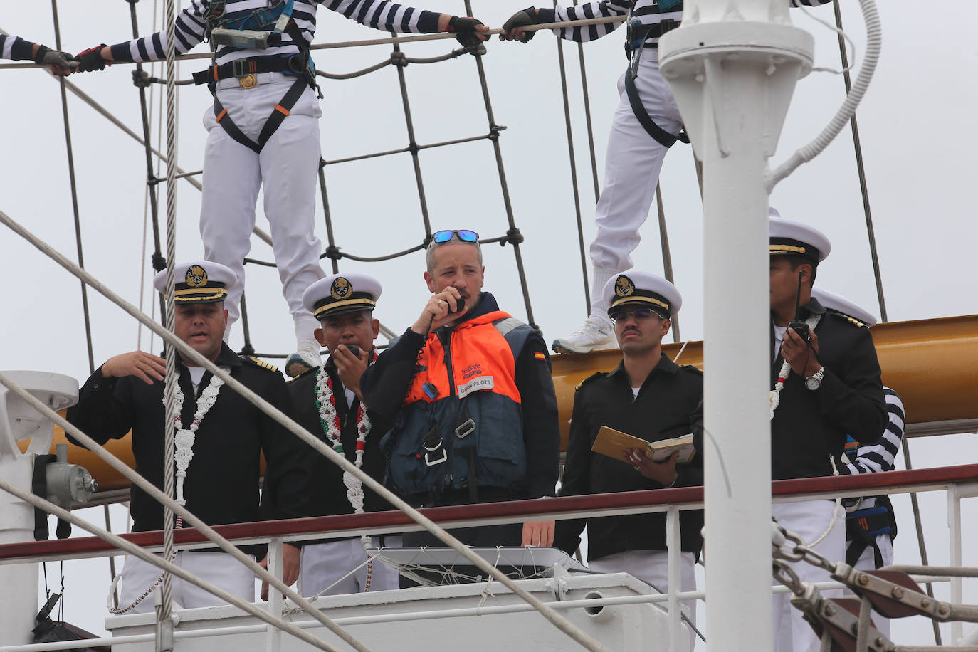 El &#039;caballero de los mares&#039; despliega su esplendor en Gijón