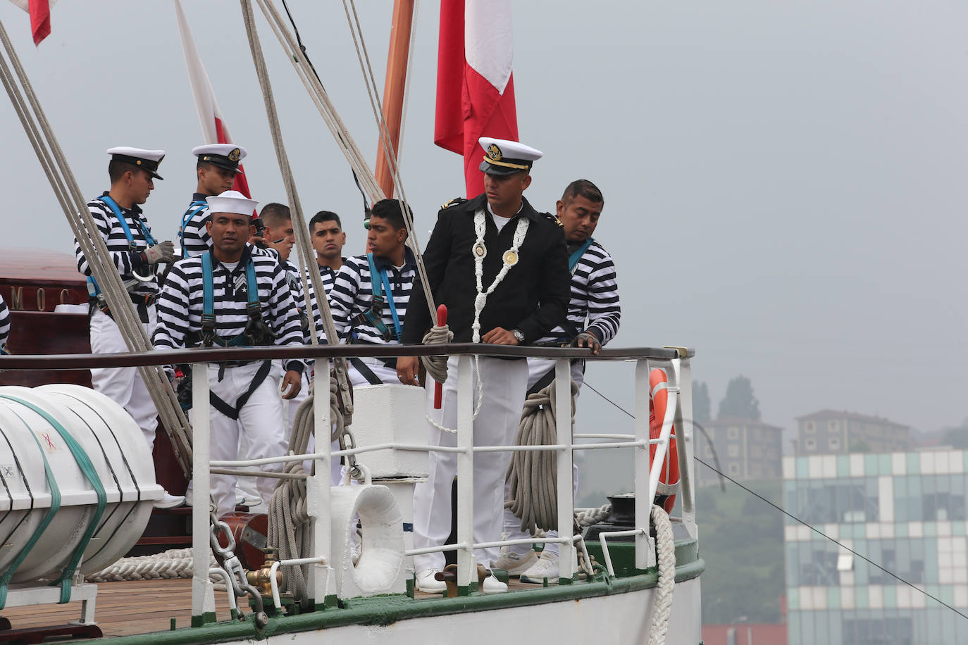 El &#039;caballero de los mares&#039; despliega su esplendor en Gijón