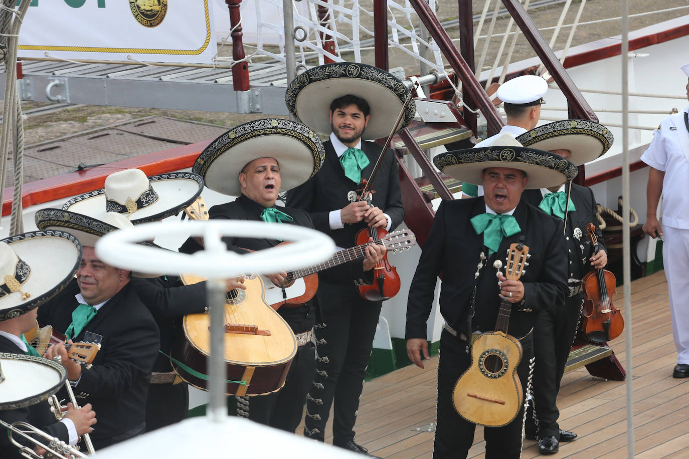 El &#039;caballero de los mares&#039; despliega su esplendor en Gijón