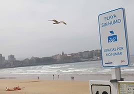 La playa de San Lorenzo, en Gijón, luce el distintivo de 'playa sin humo'.