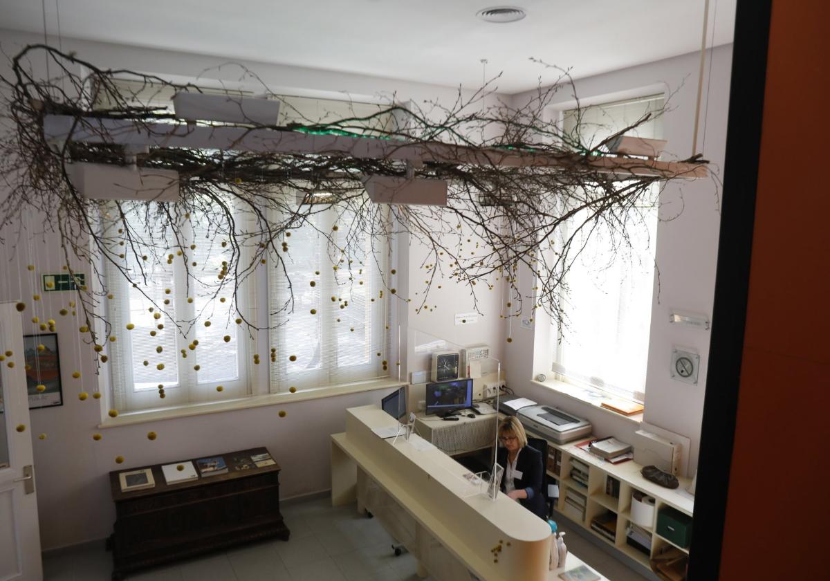 La instalación vegetal de Flor de Pasión que da la bienvenida a la muestra.