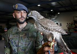 Las Fuerzas Armadas se despliegan en el recinto ferial de Gijón