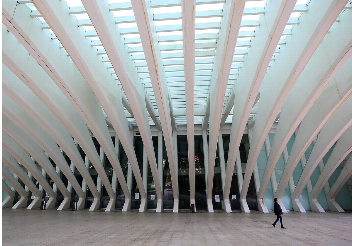 La entrada a la galería del Calatrava, donde el gobierno local planea centralizar servicios municipales.