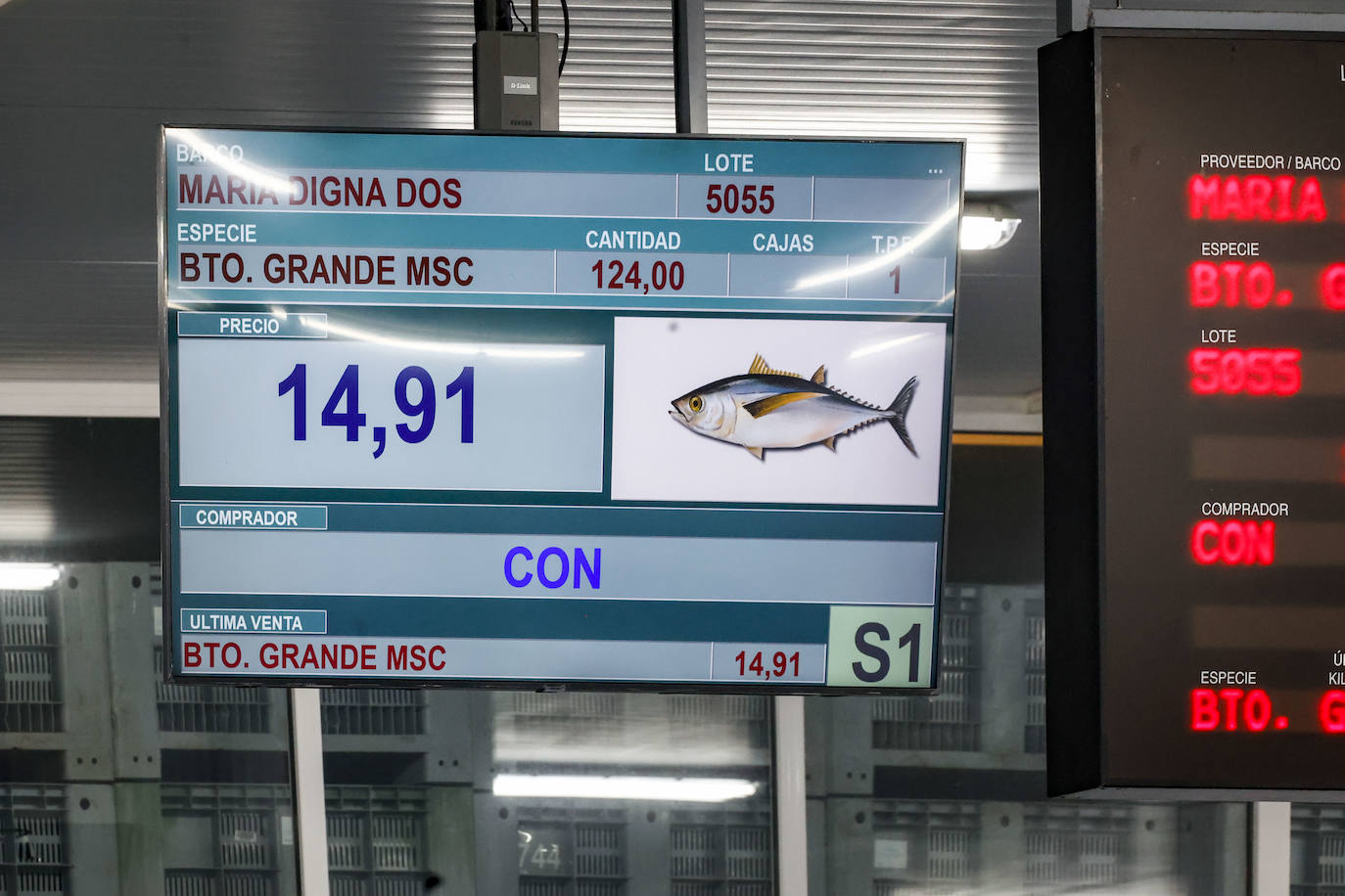 El primer bonito de Gijón, a 14,91 euros el kilo
