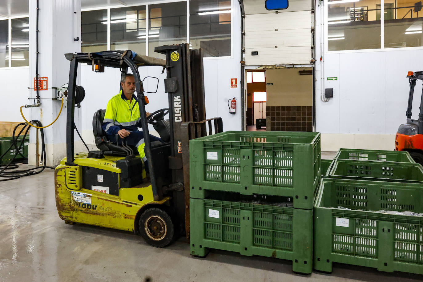 El primer bonito de Gijón, a 14,91 euros el kilo