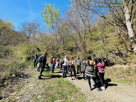 Disfrutar de la montaña y aprender a identificar plantas medicinales y comestibles así como sus usos: una propuesta que arranca en junio impulsada por tres jóvenes asturianos