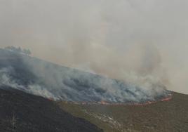 Llamas en Tineo, el pasado mes de marzo cuando la región se vio azotada por una intensa ola de incendios.