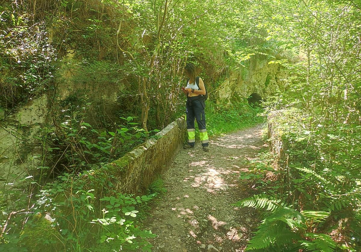 La ruta discurre por los concejos de Cabrales y Onís.