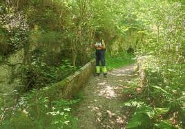 La ruta discurre por los concejos de Cabrales y Onís.